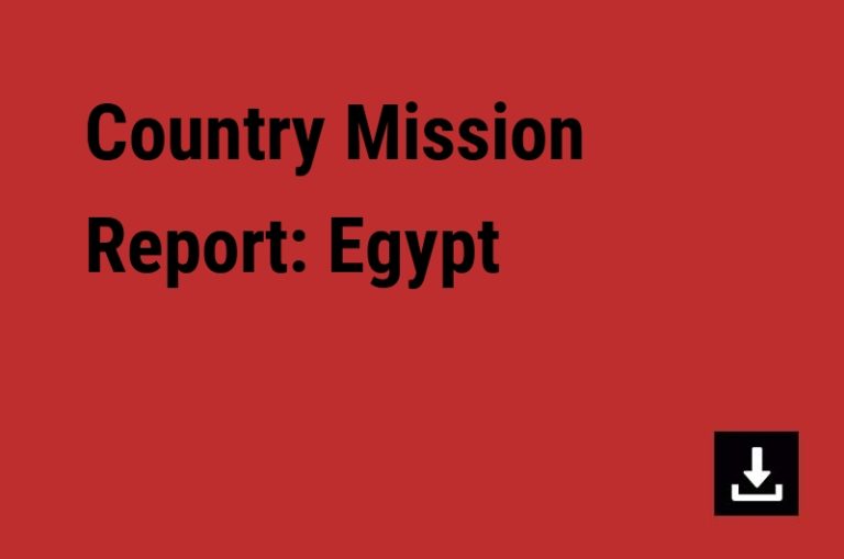 Country Mission Report: Egypt