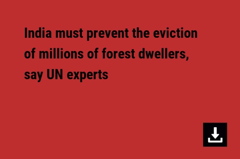 India must prevent the eviction of millions of forest dwellers, say UN experts