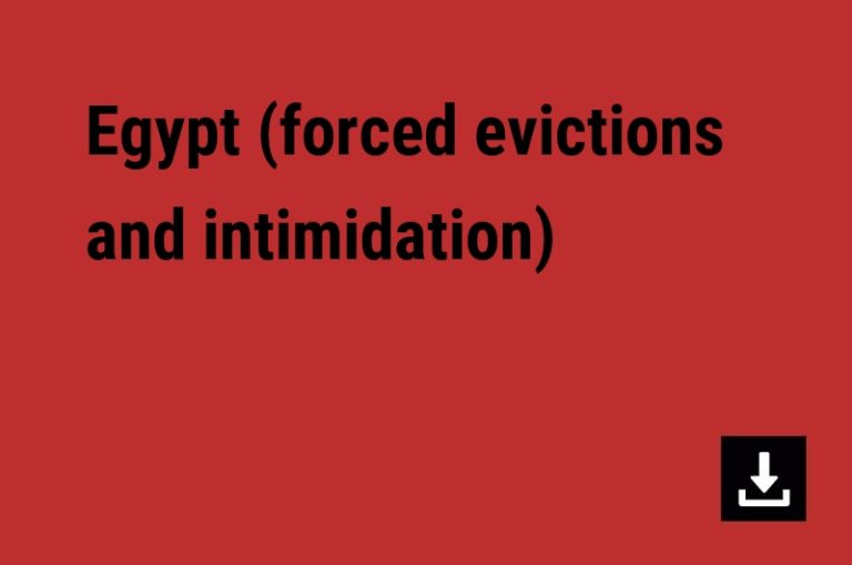 Egypt (forced evictions and intimidation)