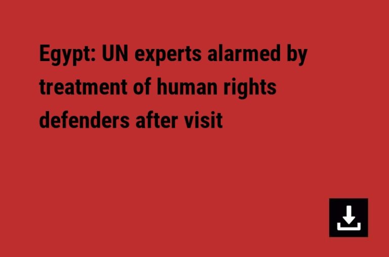 Egypt: UN experts alarmed by treatment of human rights defenders after visit